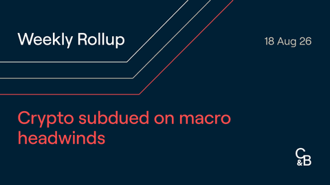 Weekly Rollup - August 18, 2026